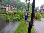 pohon-tumbang-di-jalan-raya-padang-besi-kecamatan-lubuk-kilangan.jpg