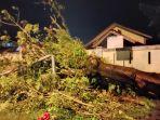 pohon-tumbang-di-padang-rabu-972020.jpg