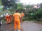 pohon-tumbang-menghambat-akses-jalan-di-padang-sabtu-2262019.jpg