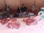 sapiii-daging.jpg
