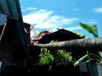 satu-unit-rumah-tertimpa-pohon-tumbang-di-kota-padang.jpg