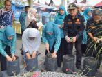 tanam-cabe-di-singkakrak.jpg