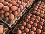 Harga Telur di Pasar Sijunjung Tembus Rp55 Ribu per Krat Akibat Harga Pakan Naik