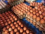 untuk-harga-telur-ayam-ukuran-sedang-didkrat.jpg
