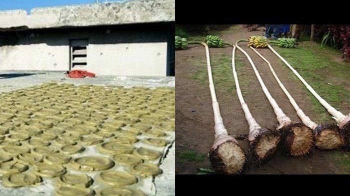 5 Hal Aneh yang Dimakan Oleh Manusia, Salah satunya ada Roti Biskuit yang Terbuat dari Tanah!