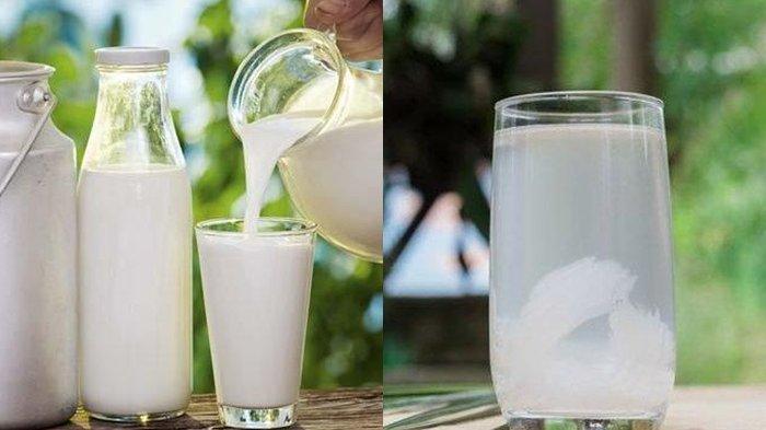 Manfaat Minum Air Kelapa dan Susu, 2 Minuman Rahasia yang Membuat Baby A Anak Aurel Terlahir Bersih