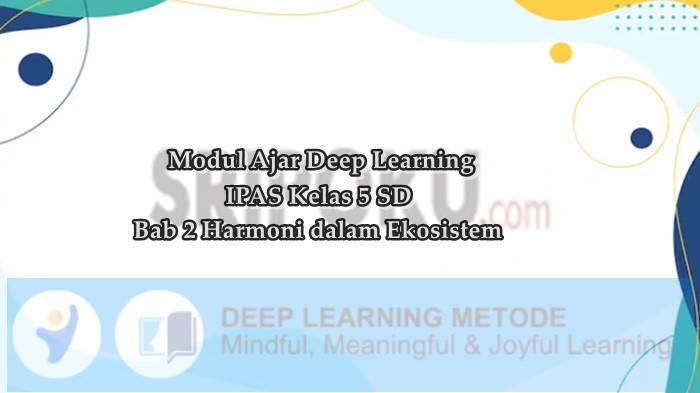 Modul Ajar Deep Learning IPAS Kelas 5 SD Bab 2 Harmoni dalam Ekosistem