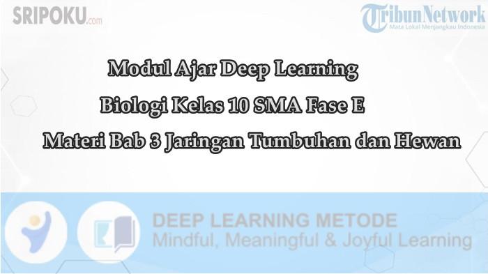 Modul Ajar Deep Learning Biologi Kelas 10 SMA Materi Bab 3 Jaringan Tumbuhan dan Hewan