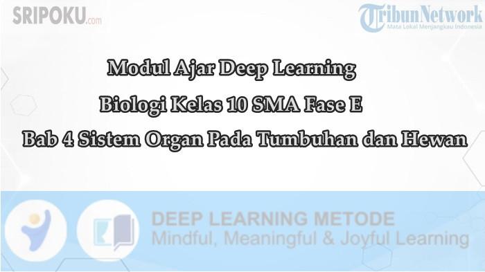 Modul Ajar Deep Learning Biologi Kelas 10 SMA Bab 4 Sistem Organ Pada Tumbuhan dan Hewan