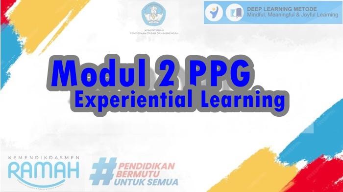 Belajar Adalah Proses yang Menyeluruh, Dalam Hal Ini Meliputi