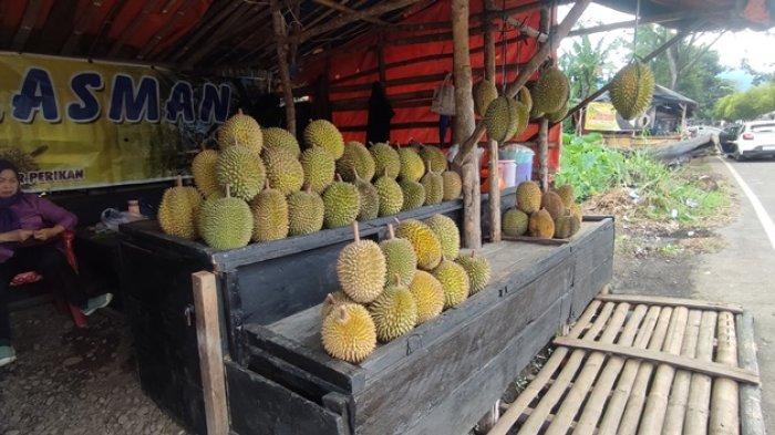 Libur Nataru dengan Berwisata ke Pagar Alam Sembari Menikmati Buah Durian