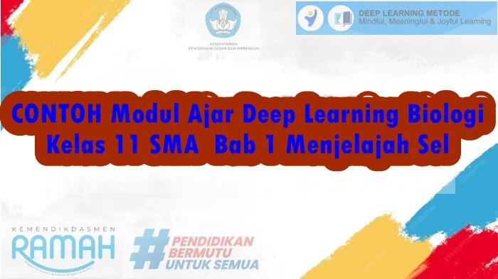 CONTOH Modul Ajar Deep Learning Biologi Kelas 11 SMA Bab 1 Menjelajah Sel