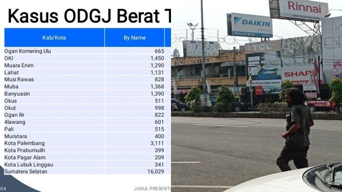 Dinas Kesehatan Sebut Ada 16.029 Kasus ODGJ di Sumsel, Kota Palembang Terbanyak Disusul OKI