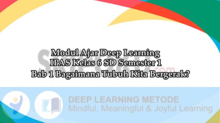 Modul Ajar Deep Learning IPAS Kelas 6 SD Bab 1 Bagaimana Tubuh Kita Bergerak