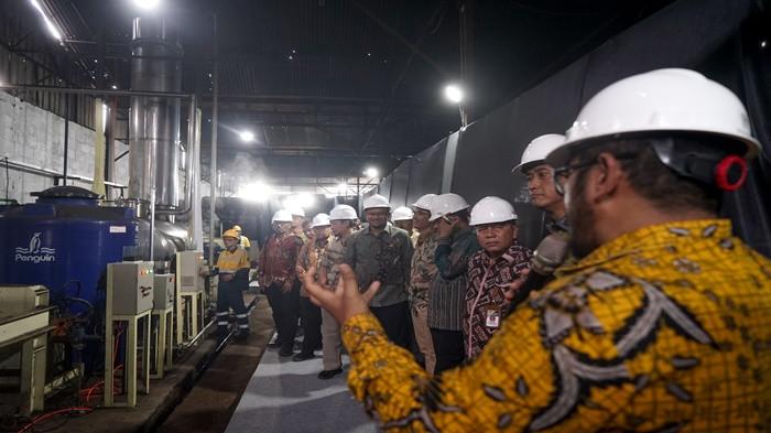 Inovasi PTBA Dukung Swasembada Pangan, Ubah Si Hitam Jadi Hijau