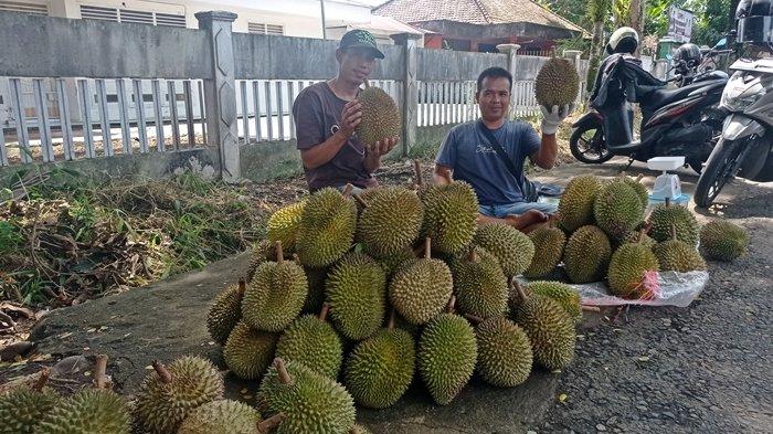 Durian PUT Banjiri Kota Lubuklinggau Sumsel, Rasa Manis dan Pahitnya Jadi Ciri Khas