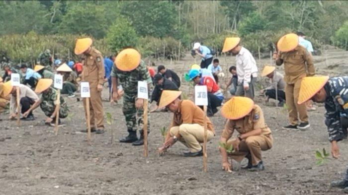 Hutan Mangrove Sungsang Banyuasin Sumsel Jadi Percontohan Lahan di Indonesia Kurangi Emisi Karbon