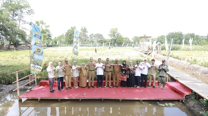 Optimalkan Lahan Rawa, Sumsel Kembangkan Padi Apung untuk Ketahanan Pangan - Kolam-Padi-Apung-2.jpg