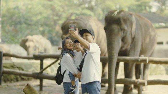 Daftar Harga Tiket Masuk Kebun BInatang Gembira Loka di Yogyakarta Tahun 2023