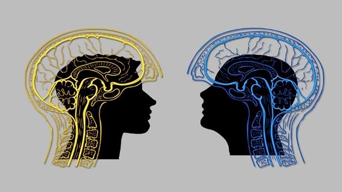 Kunci Jawaban Modul 3.8 Analisis Negosiasi Konflik, Pelatihan Deteksi Dini 2 MOOC Pintar Kemenag
