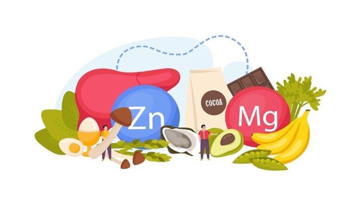 Latihan Soal Ujian Sumatif Akhir Tahun IPA Kelas 8 SMP/MTs, Soal Versi 2025 Dilengkapi Kunci Jawaban