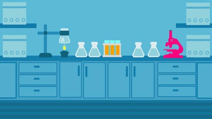 Dilengkapi Kunci Jawaban, Ini Latihan Soal Sumatif Tengah Semester IPA Kelas 7 SMP/MTS Semester 1