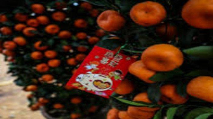 Makna Jeruk di Perayaan Tahun Baru Imlek, Jadi Hidangan Wajib, Bukan Cuma Sekedar Buah Biasa