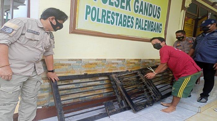 Berita Kriminal : Tak Tahan Ingin Mabuk Tuak, Pria di Palembang Nekat Curi Pagar Tetangganya Sendiri