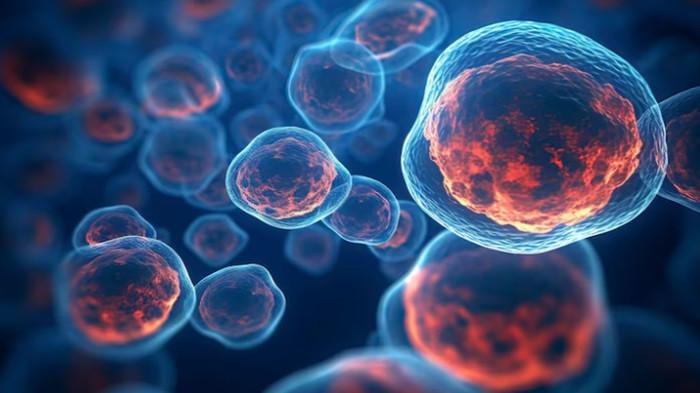 Unduh Modul Ajar Deep Learning Biologi Kelas 11 SMA Bab 1 Menjelajah Sel Semester 1