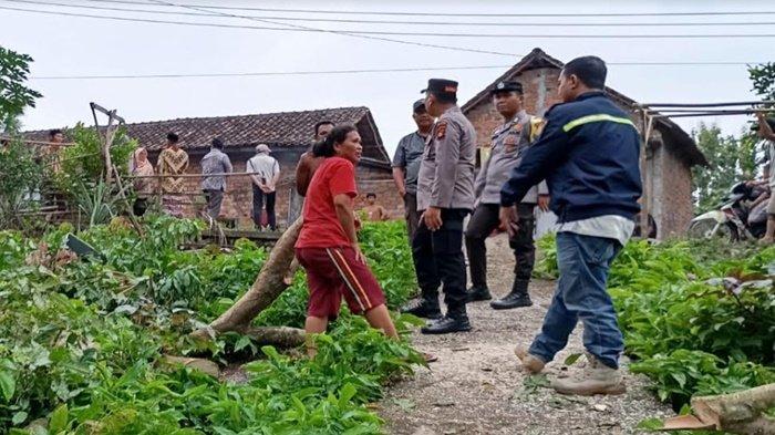 Petani di Desa Penyandingan OKU Tewas Tersengat Listrik Saat Tebang Pohon Jengkol