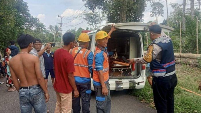 Petugas PLN di Musi Rawas Tewas Tersengat Listrik, Korban Ditemukan Tergantung di Tiang Listrik