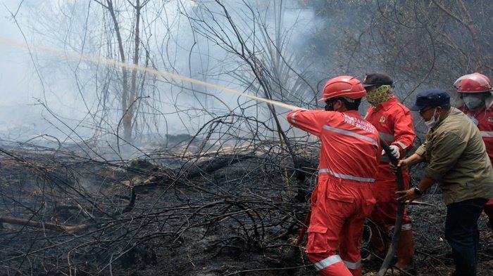 Kilang Pertamina Plaju Suplai Bantuan Logistik untuk Pejuang Pemadaman Karhutla di Sumsel