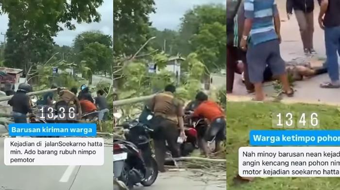 ANGIN KENCANG - Kolase. Pohon roboh di Jalan Soekarno Hatta timpa pengguna jalan