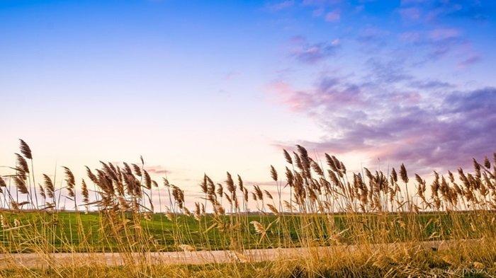 Soal Penilaian Harian Geografi Kelas 12 SMA/MA Materi Konsep Wilayah Semester 2 Kurikulum Merdeka