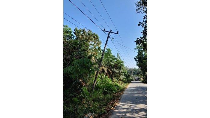 Mengkhawatirkan, Tiang Listrik di Jalan Lintas Kecamatan Gunung Megang Miring dan Nyaris Roboh