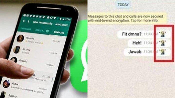 Tips Jitu Ubah Chat Whatsapp jadi Centang Satu, Dijamin Offline Terus saat Buka Aplikasi WA