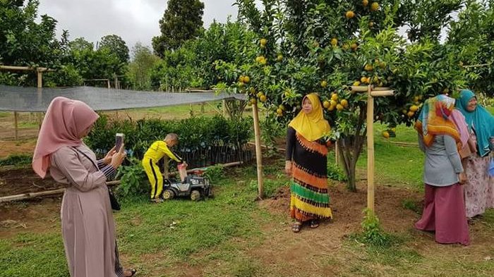 Pagaralam Mulai Lirik Bisnis Agrowisata yang Disenangi Para Wisatawan