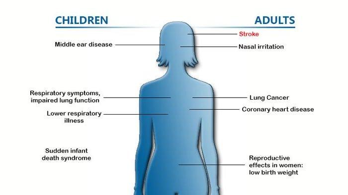 Kurangi Konsumsi Rokok dan Kejar Penerimaan, Pemerintah Berencana Naikan Cukai rokok