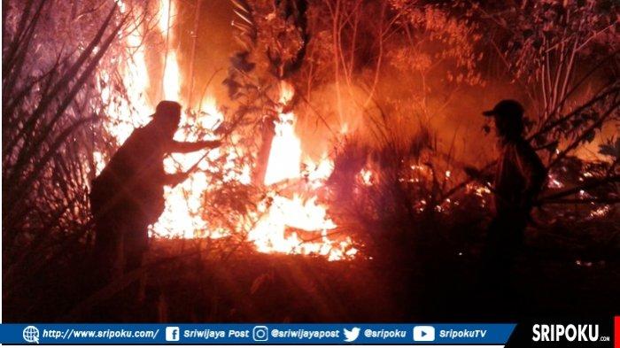 Karhutla Mulai Terjadi Di Pagaralam, Kawasan Bandara Atung Bungsu Salah Satu Yang Mulai Terbakar.