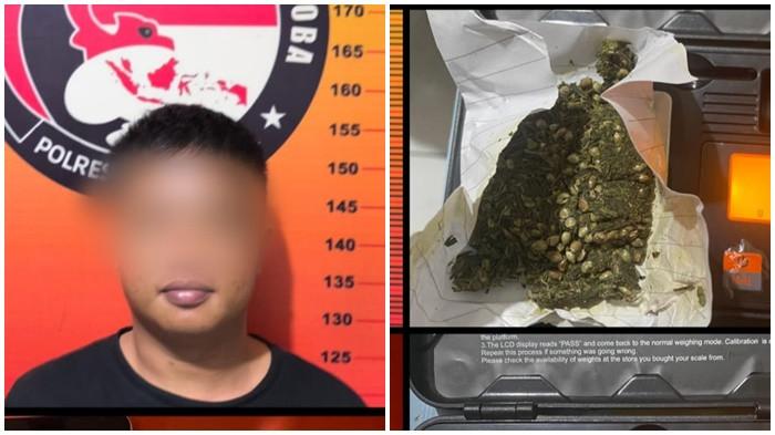 TAMPANG Pengedar Ganja yang 'Kuasai' Selibar Pagar Alam, Orang Tua Pelaku dan Ketua RT Jadi Saksi!