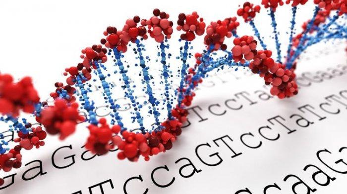 SUMSEL, Satu dari 5 Daerah Terinfeksi Mutasi Virus Corona B.1.1.7: Kemenkes Tracing Kontak Erat