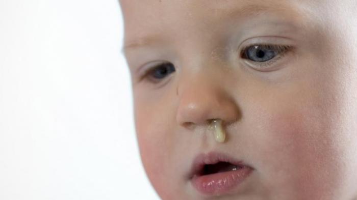 Mungkin Anda tak Percaya. Setiap Hari Manusia Tanpa Sadar Minum Ingus 1 Liter. Ini Penjelasannya