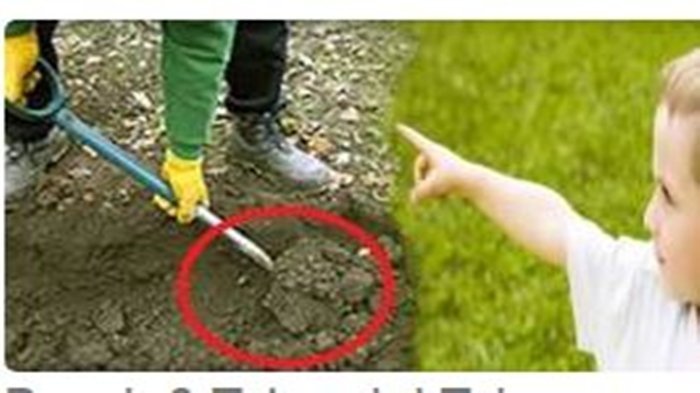 Bocah 3 Tahun Ini Buat Pengakuan Yang Tak Masuk Akal, Benarkah Ia Manusia Reinkarnasi?