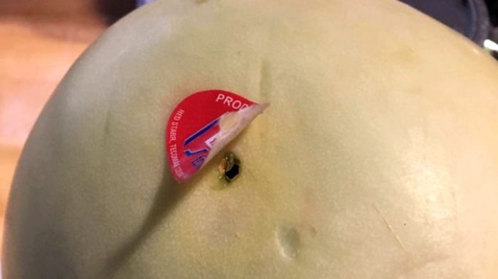 Susah Diterima dan Bikin Kesel! 12 Foto Ini Tunjukkan Kelakuan Orang yang Kelewat Aneh