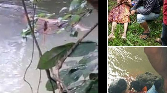 Heboh, Video Buaya Antar Mayat Orang ke Tepi Sungai Gegerkan Warga Kalimantan