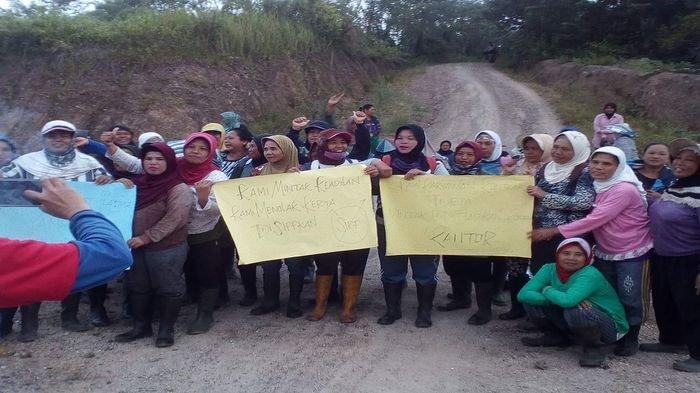 Karyawan PT GSB Tuntut Hapuskan Sistem Shift dan Minta Kebun Plasma yang Dijandjikan