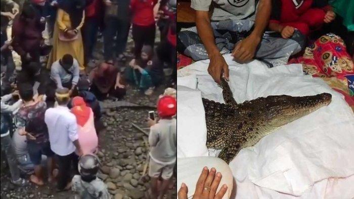 Viral Buaya Jadi-jadian Nyasar ke Mal, Warga yang Mengaku Kembarannya Bawa Pulang: Tidur Dibantali