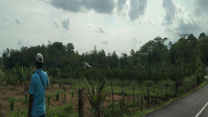 Lokasi Munculnya Harimau di Muara Kuang OI Diyakini Warga Tempat Keramat, Terdapat 4 Makam Tua