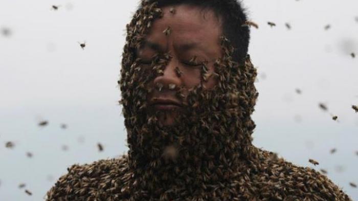 Demi Promosi, Tubuh Pria China Ini Dikerumuni 460.000 Lebah