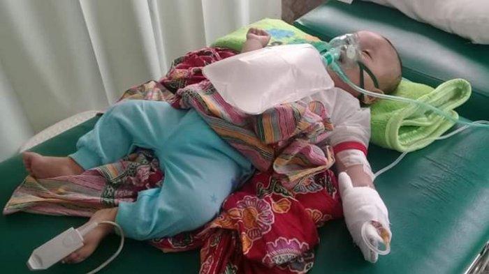 Bayi Meninggal Dunia Diduga ISPA Dampak Kabut Asap Karhutla, Ini Jawaban Dinkes Sumsel dan Banyuasin